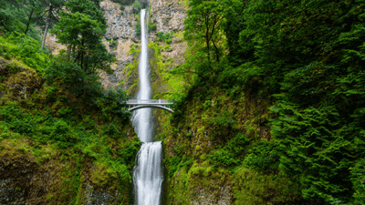 Travel Nursing in Oregon | Top Paying Specialties & Cities 2023